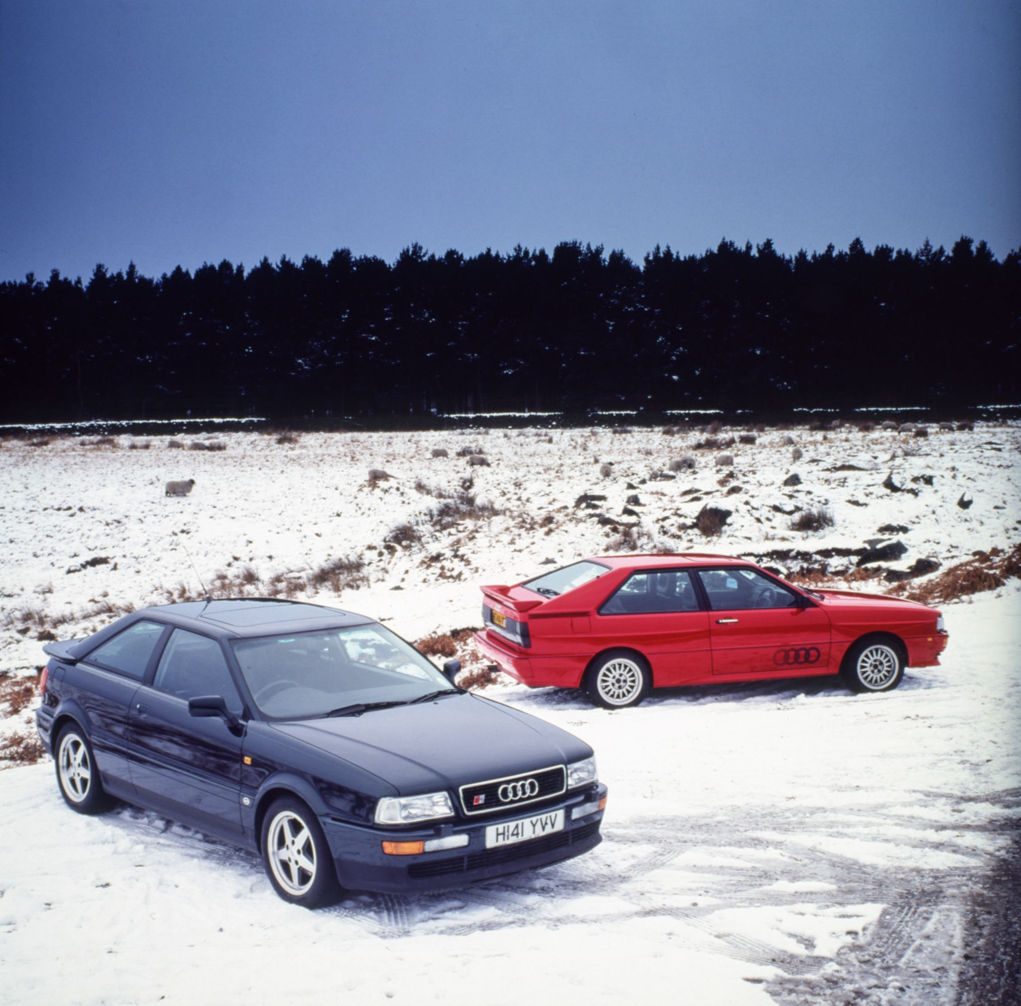 audi quattro e s2 coupé