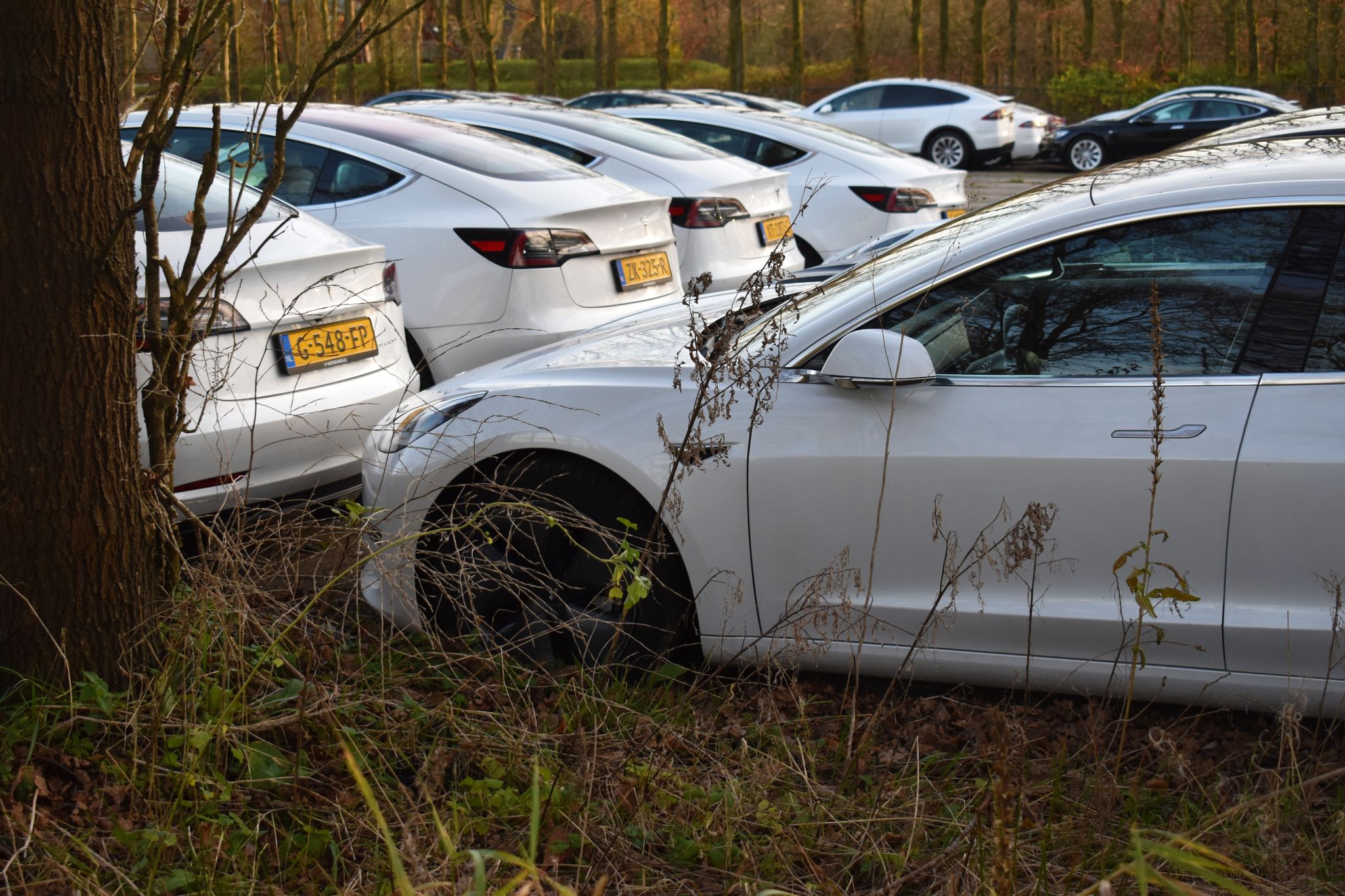 MODELOS TESLA DEIXADOS EM UM TERRENO BALDIO SHUTTERSTOCK