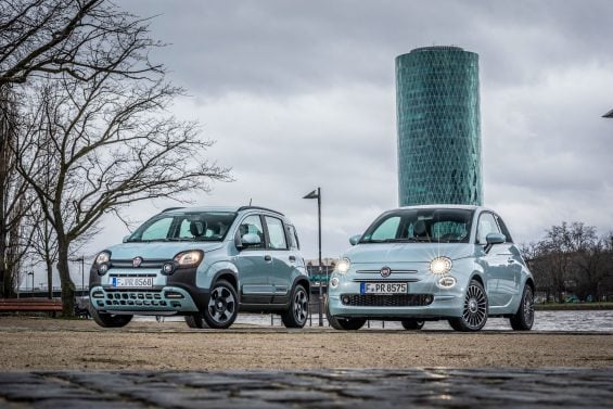 fiat Panda e 500 híbridos frente