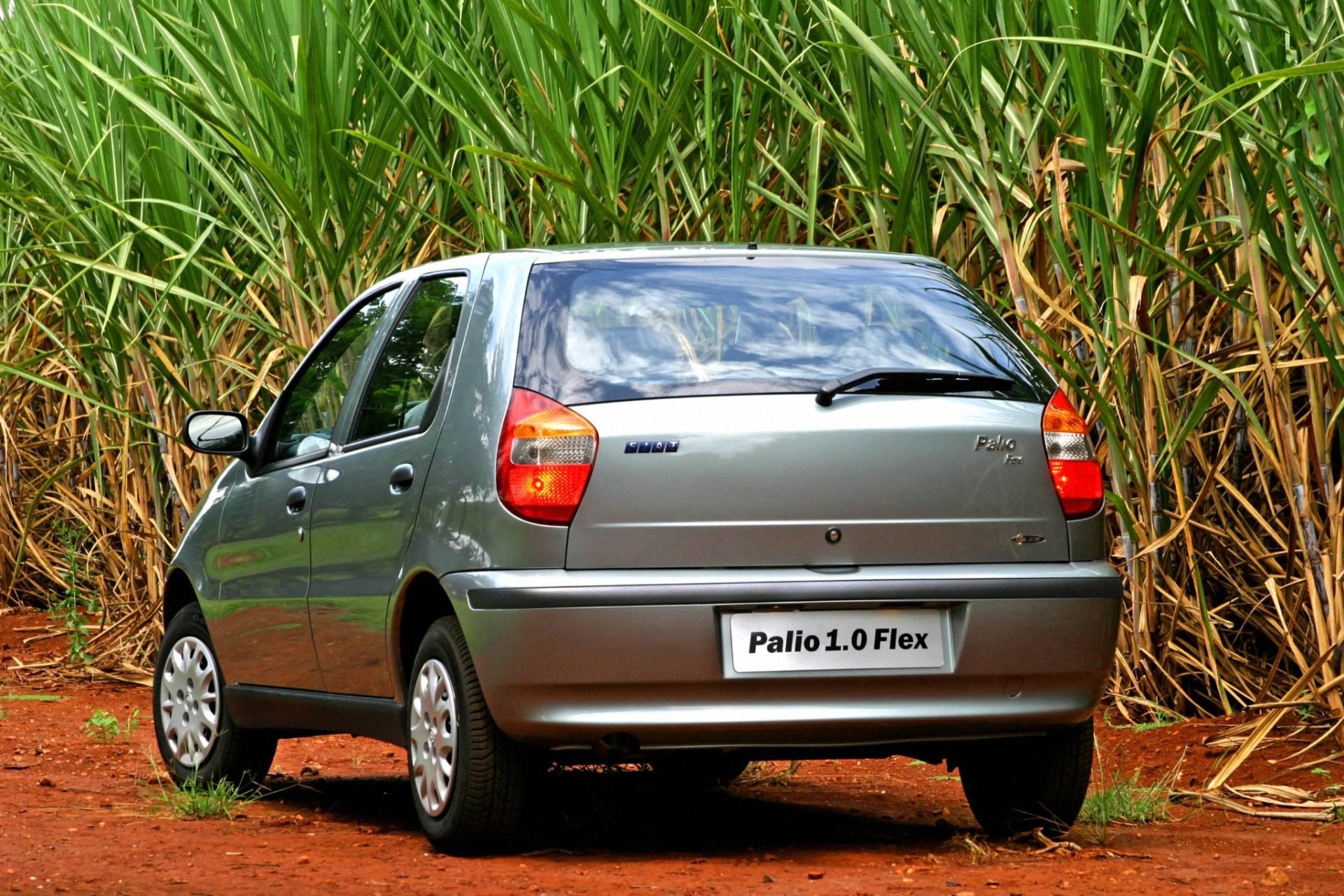 fiat palio fire flex traseira parado em canavial