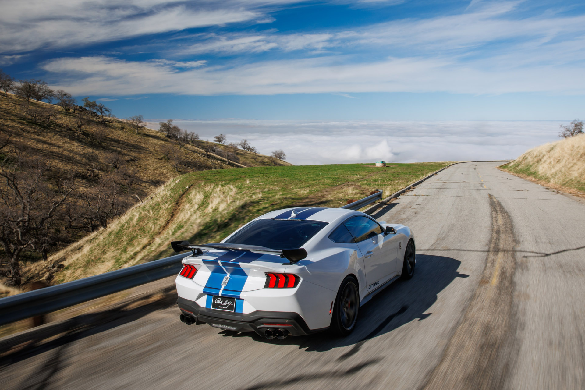 Mustang Shelby GT350 (3)