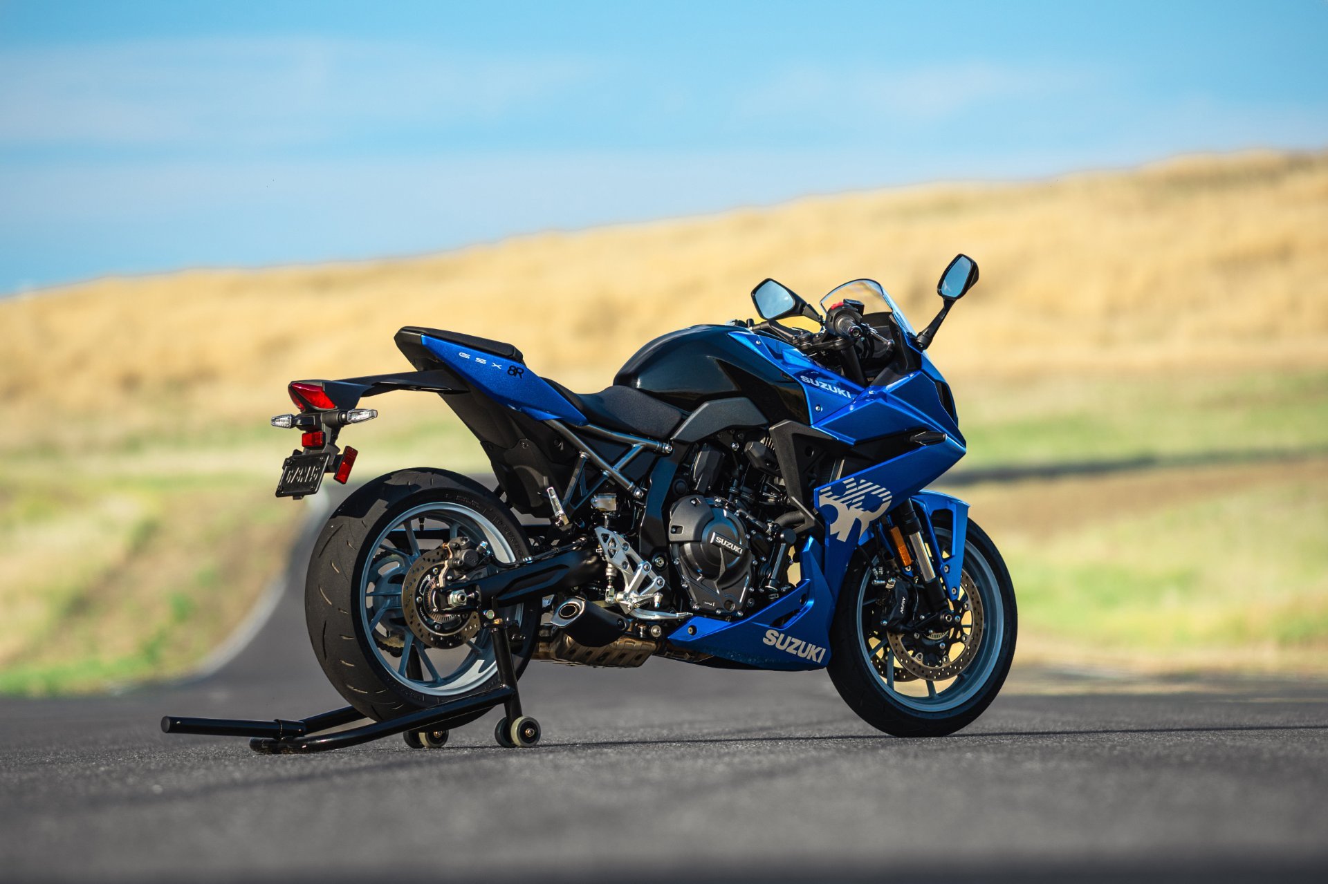 Suzuki GSX 8R (8)