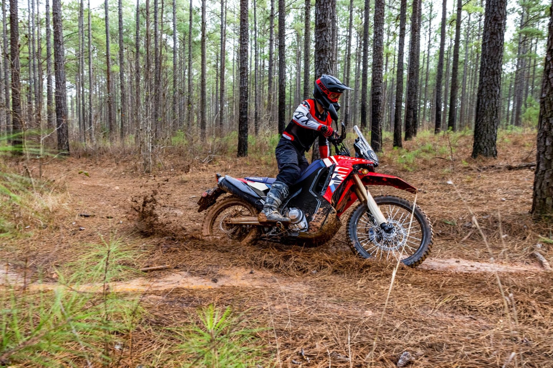 25 HONDA CRF300L RALLY Ação de estilo de vida 4