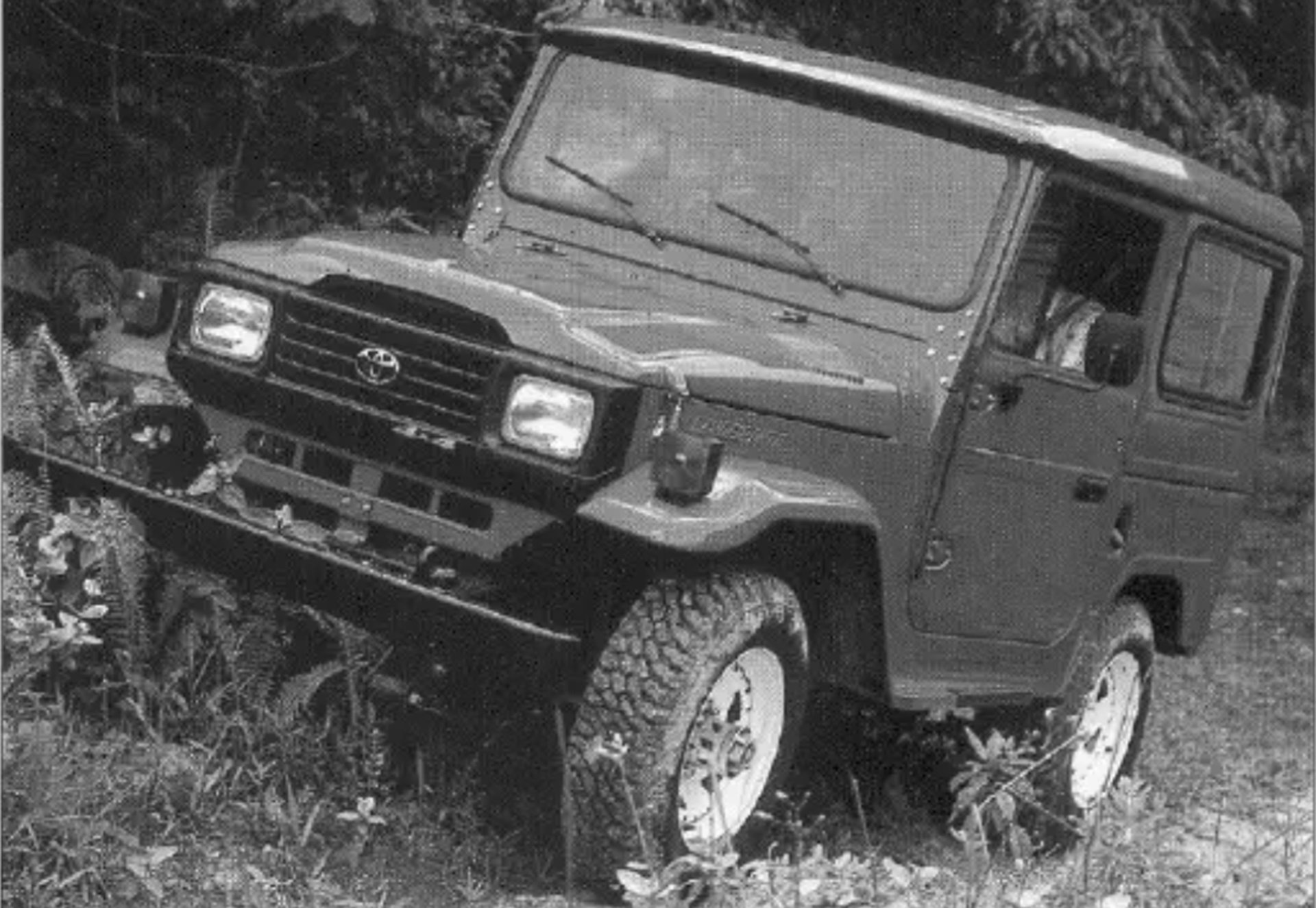 toyota bandeirante divulg 2