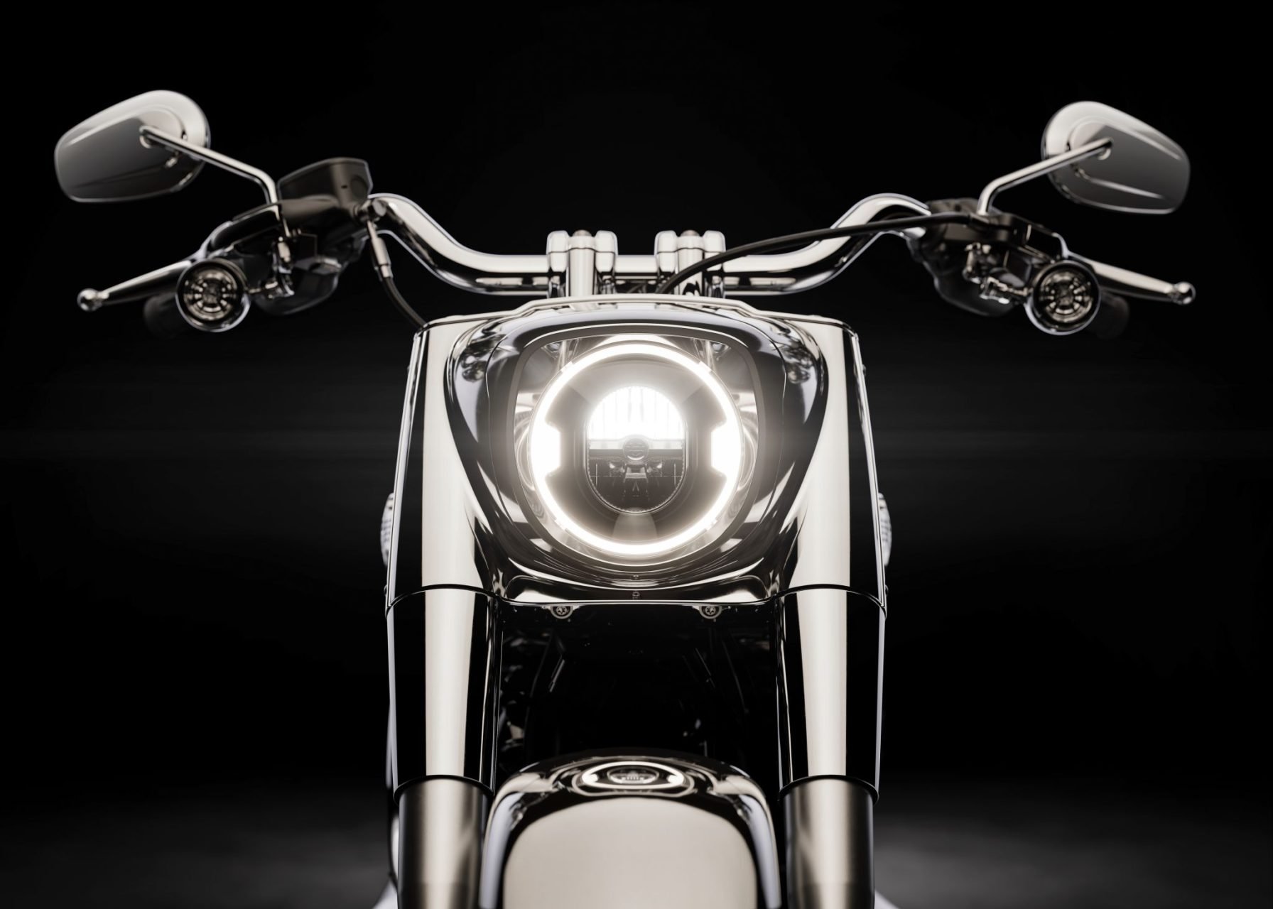 Harley Davidson Fat Boy Gray Ghost (9)