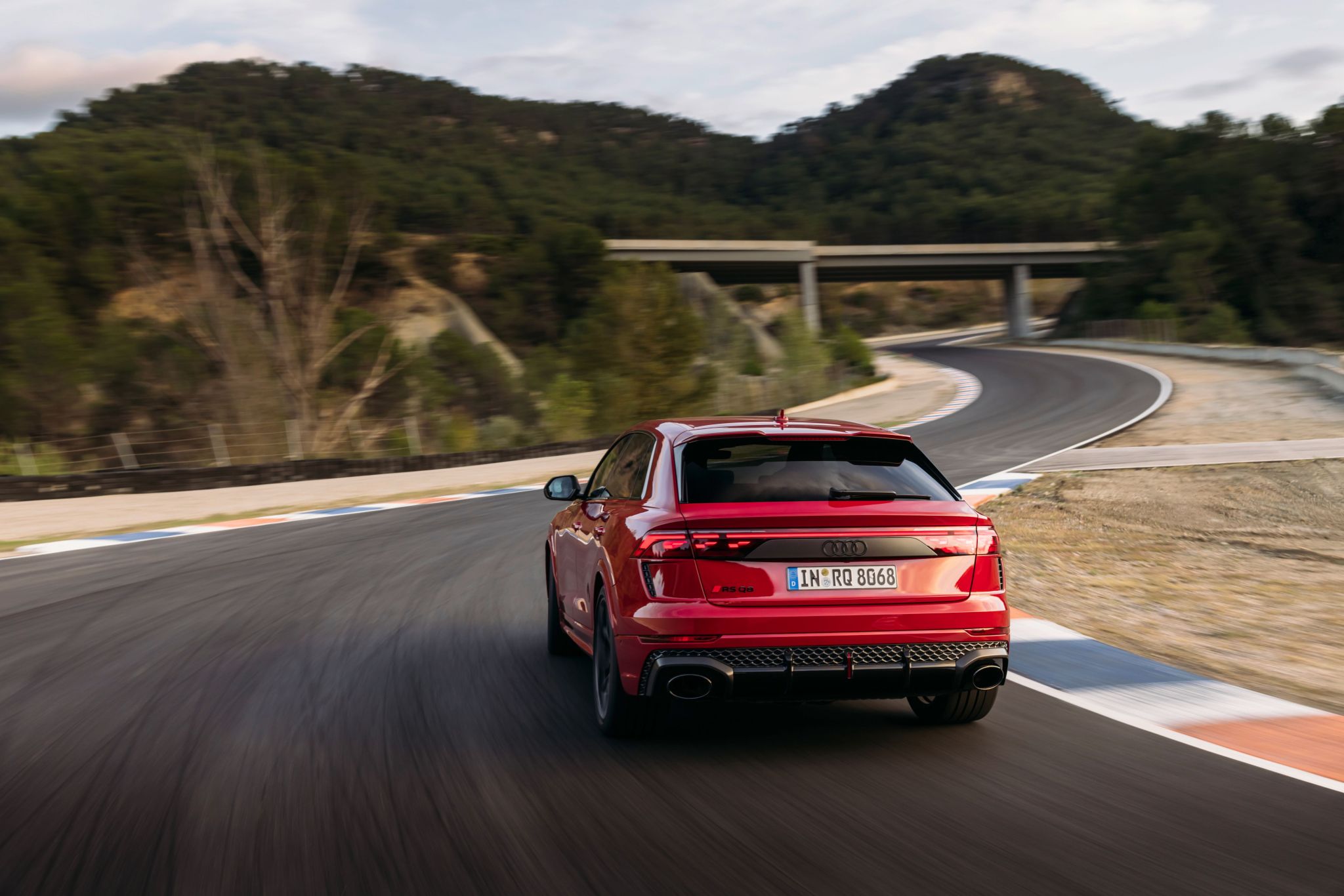 Audi RS Q8 Performance (4)