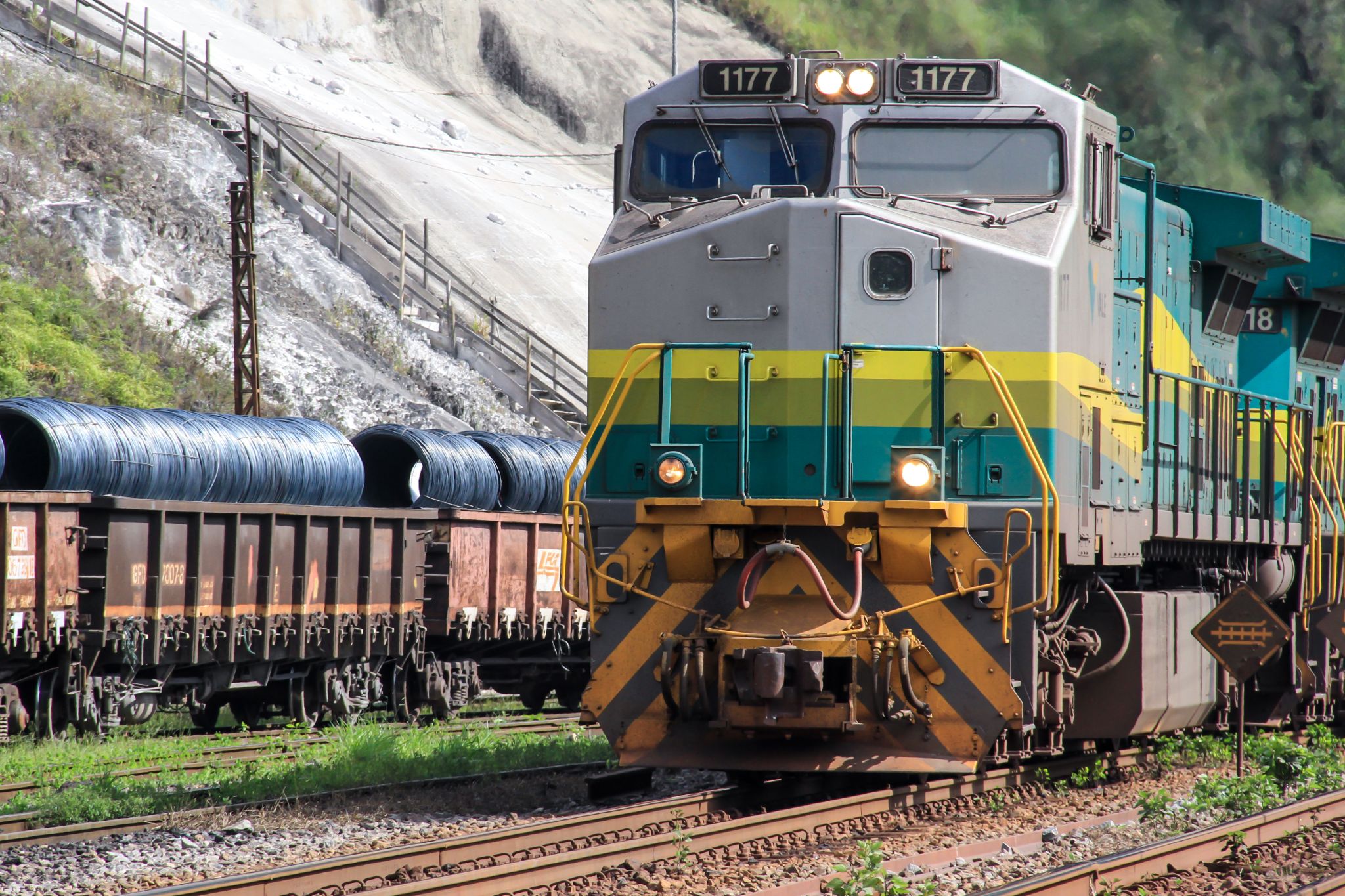 trem de passageiro no brasil foto luis war shutterstock