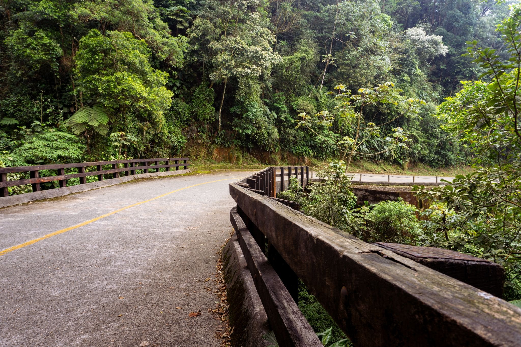 Trecho da Estrada Velha de Santos (Foto: Patricia Hikari | Shutterstock)