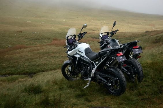 Tiger 900 GT MY26 CTG CW4I0728 GE