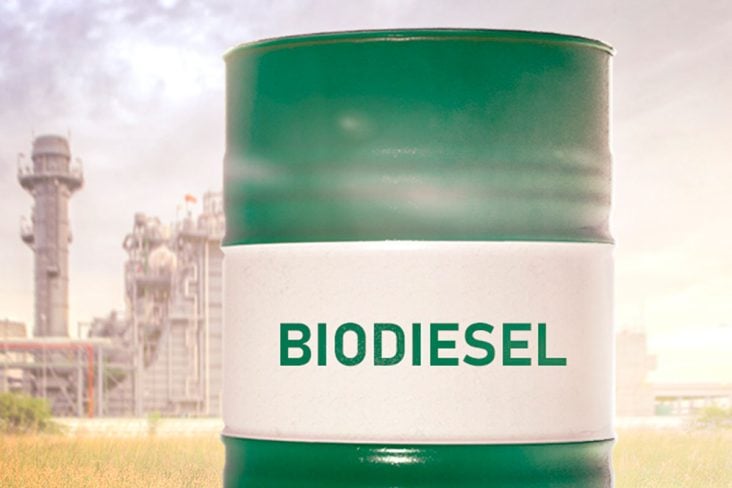 biodiesel barril usina portal