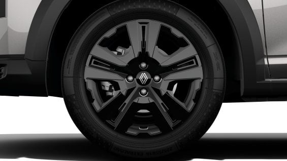 Renault Kardian Authentic (2)