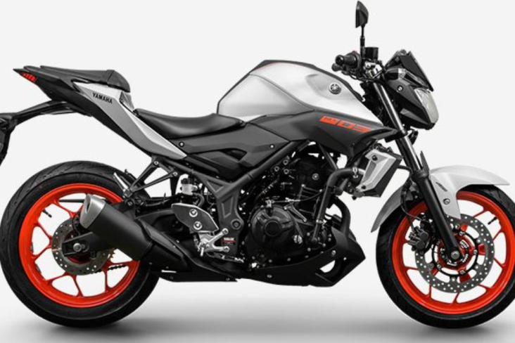 Yamaha MT 03 2019 (4)