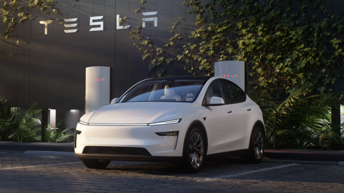 Tesla Model Y (2)