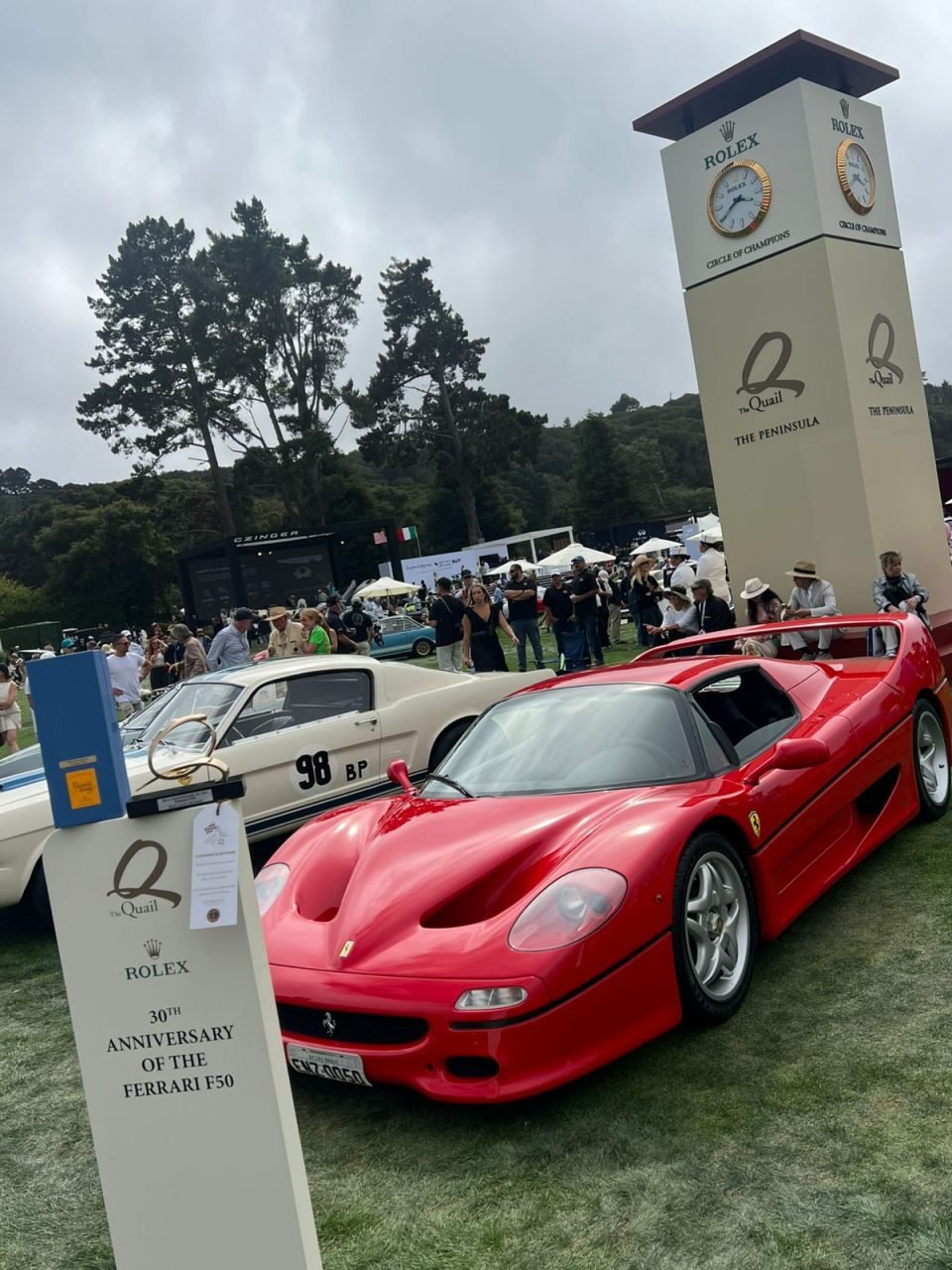 Ferrari F50 CARDE the quail