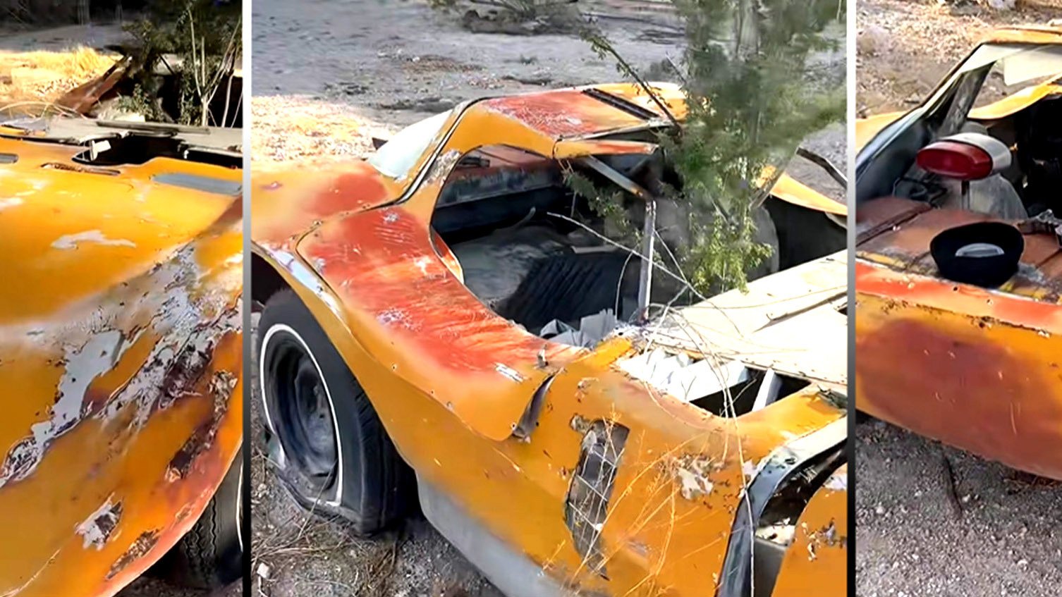 Este clássico ‘Bill Thomas Cheetah’ dos anos 60 foi encontrado em quintal abandonado
