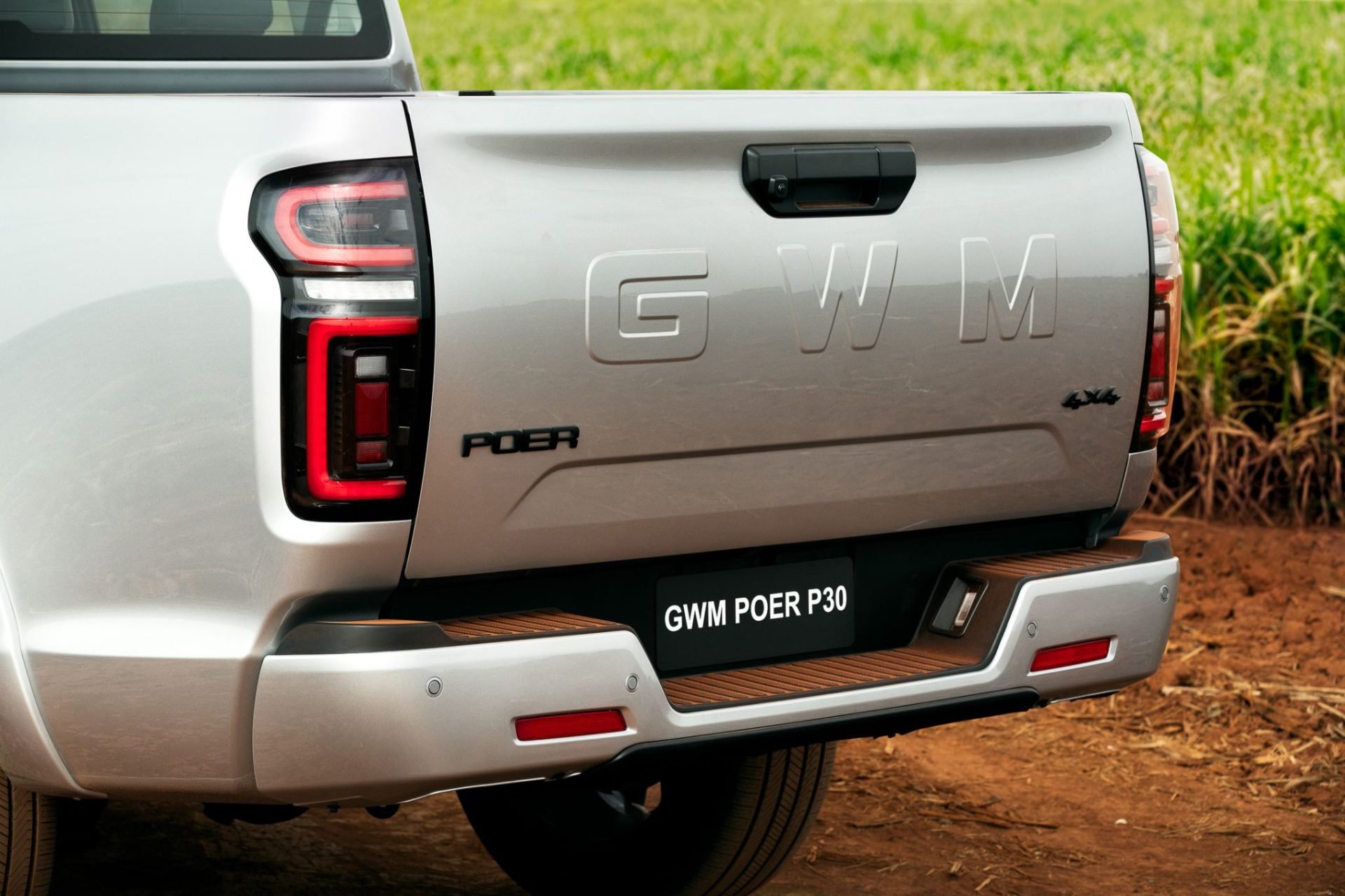 GWM Poer P30 13