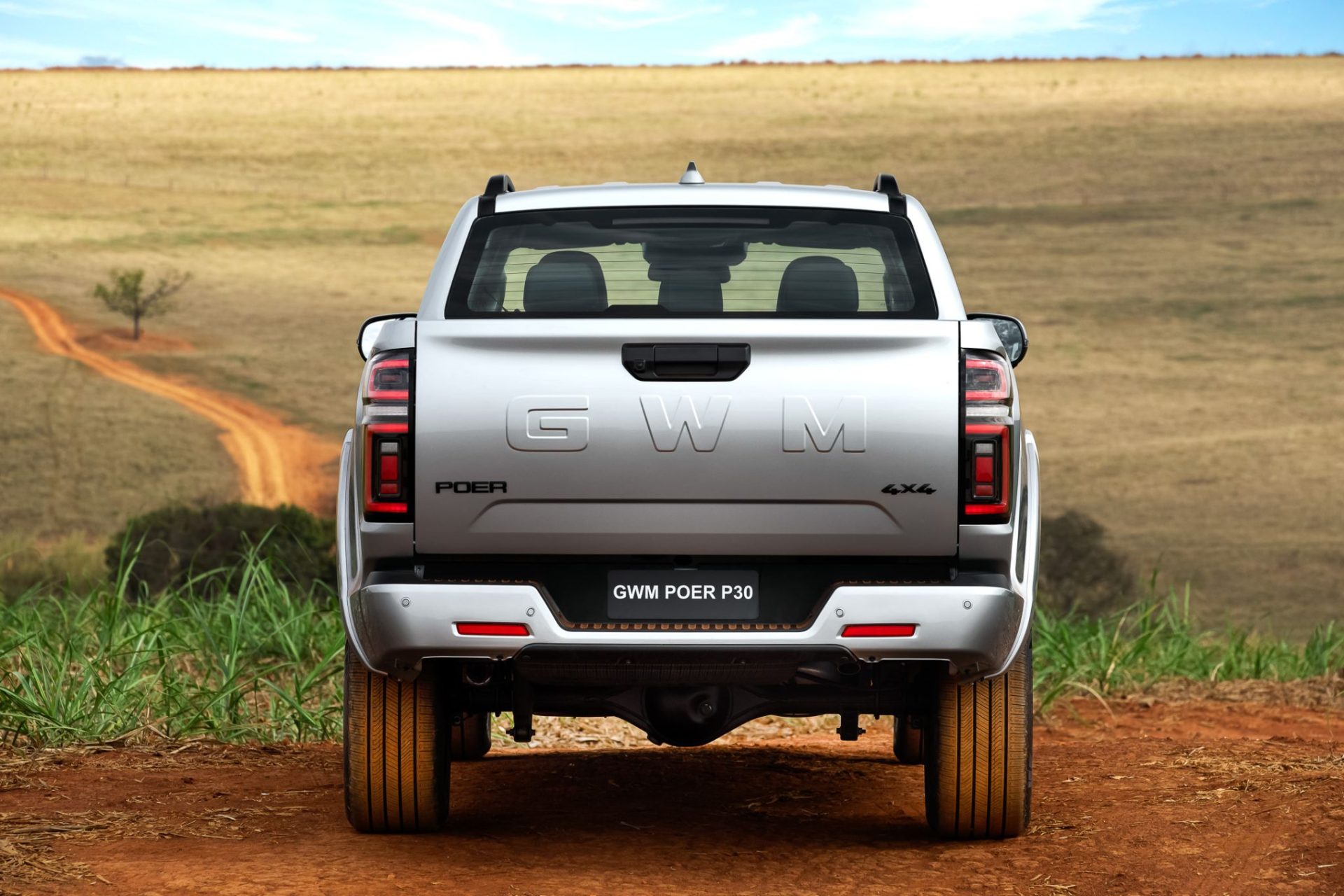 GWM Poer P30 15