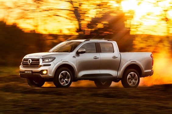 GWM Poer P30 08