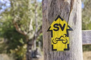 sinalização trilha mountainbike Crédito Aliança Bike Serras Verdes