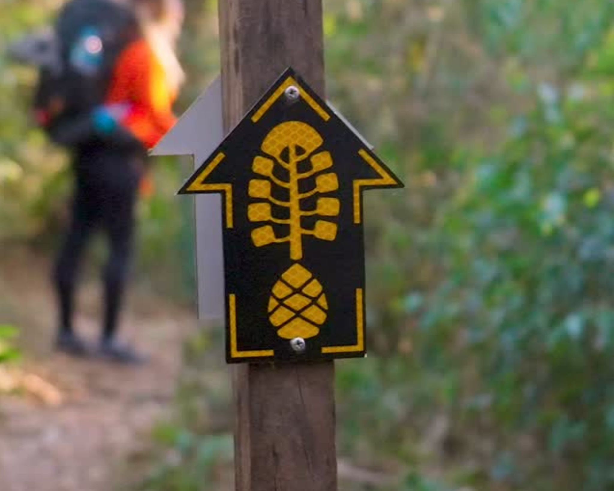 sinalização trilha mountainbike Crédito Caminho da Fé