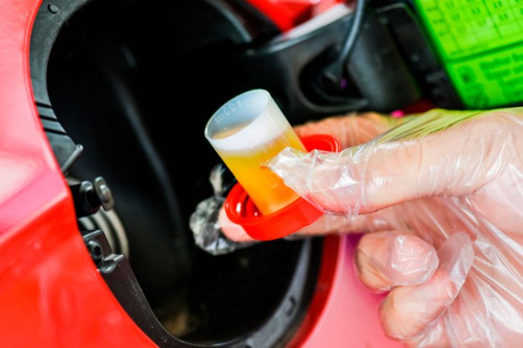 Frasco De Aditivo Para Gasolina Veja Como Usar