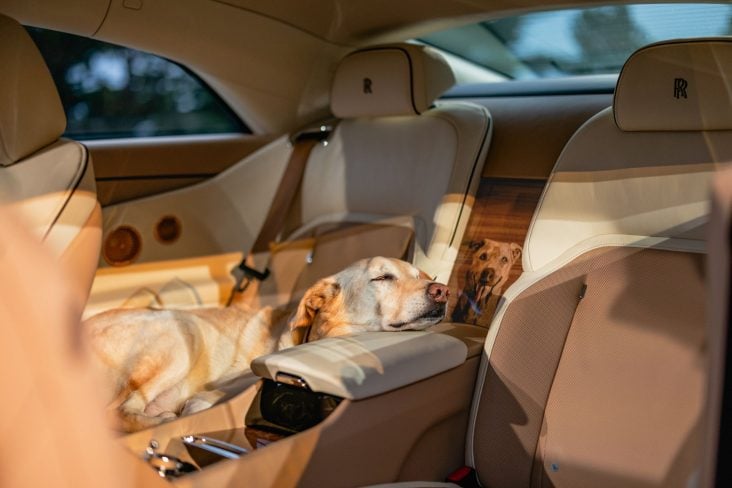 P90620257 highRes rolls royce spectre