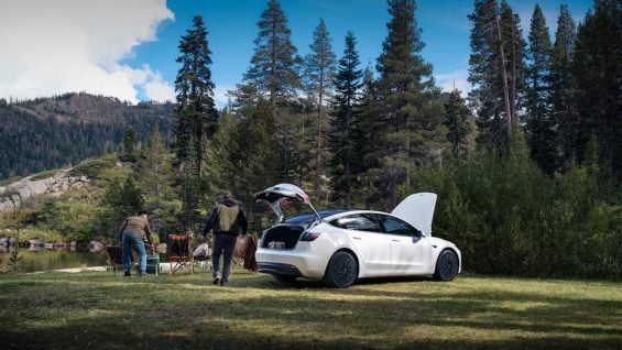 Model Y Standard 2