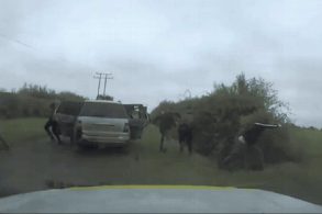 dez homens saltam de um carro e escapam de perseguição policial