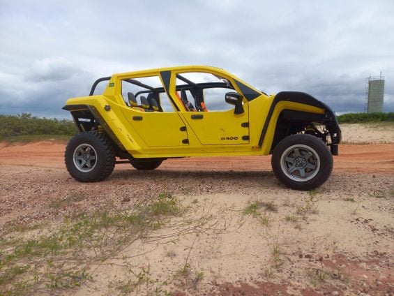 BUGGY GUEPARDO G300 DUNA (3) BUGGY GUEPARDO G300 DUNA (3)