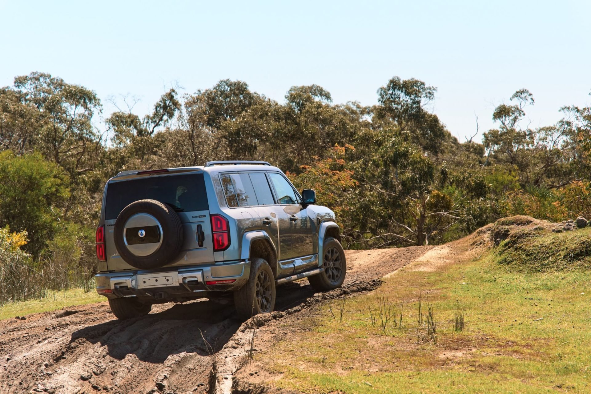 denza b5 cinza traseira em trilha