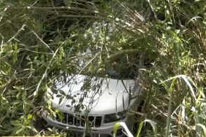 Caes causam acidente de carro em londrina no paraná