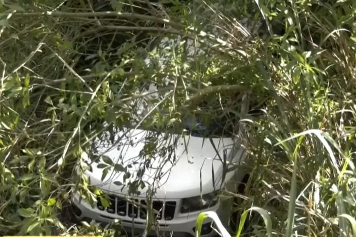 Caes causam acidente de carro em londrina no paraná