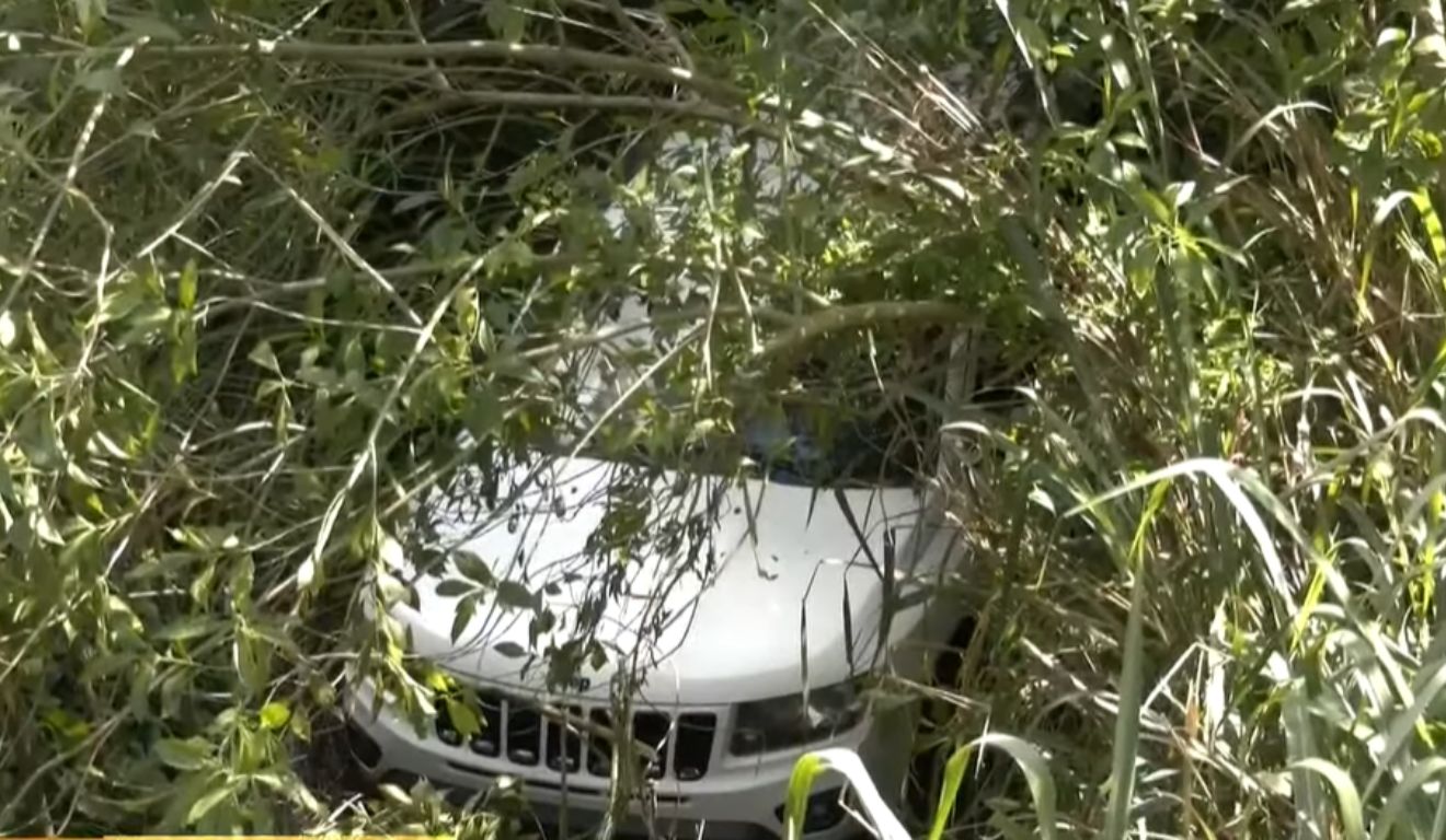 Cães acionam marcha e carro cai em ribanceira de 50 metros no Paraná