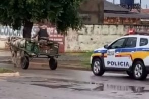 PM de Arrinos (MG) conduzindo uma carroça apreendida