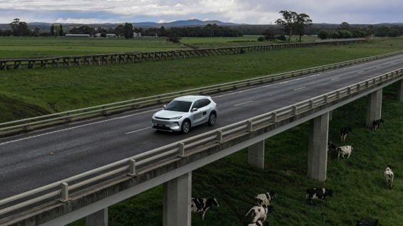 media 1766088112107 2