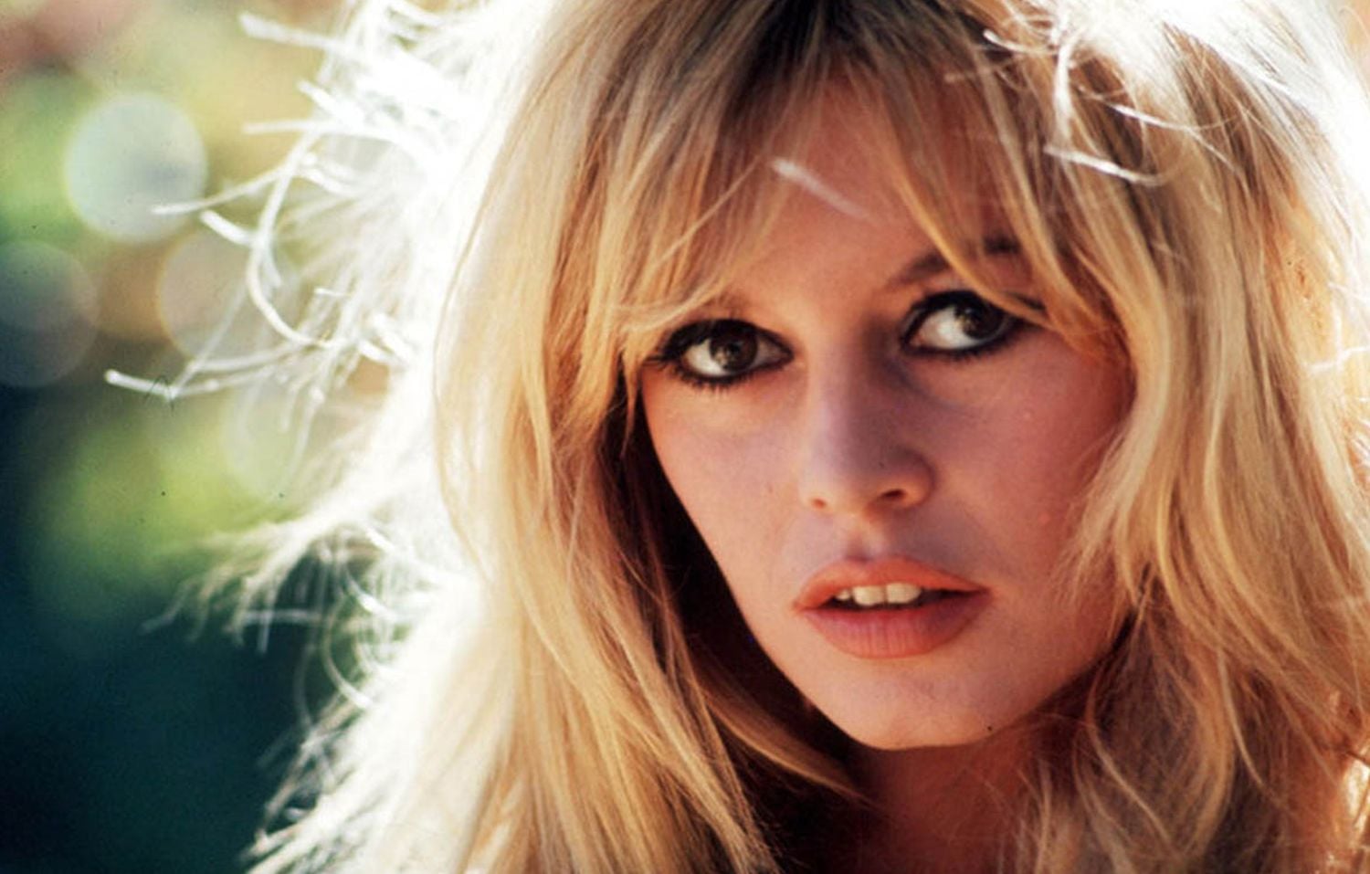 Musa de Maranello: Como Brigitte Bardot 'batizou' uma Ferrari