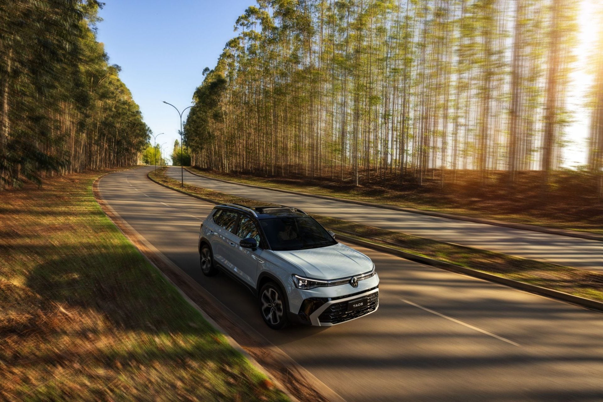 29f8dbc2 7b57 41ab 8bc5 018631debb88 medium