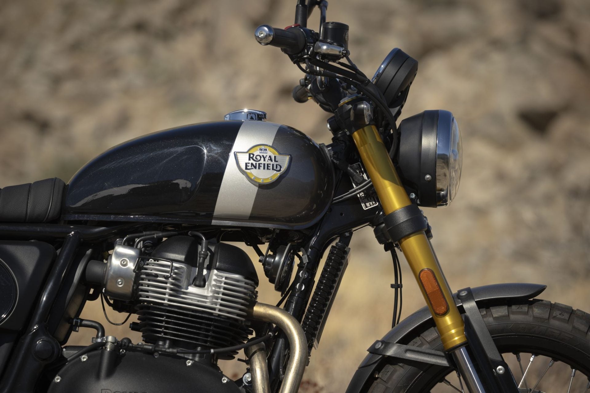 Royal Enfield Bear 650 (15)
