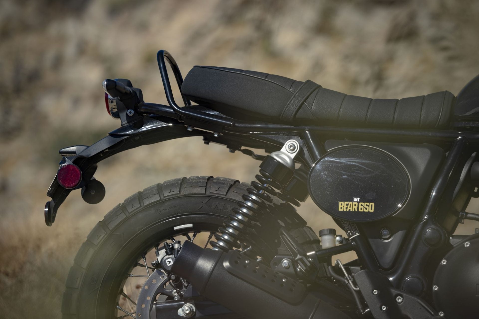 Royal Enfield Bear 650 (16)