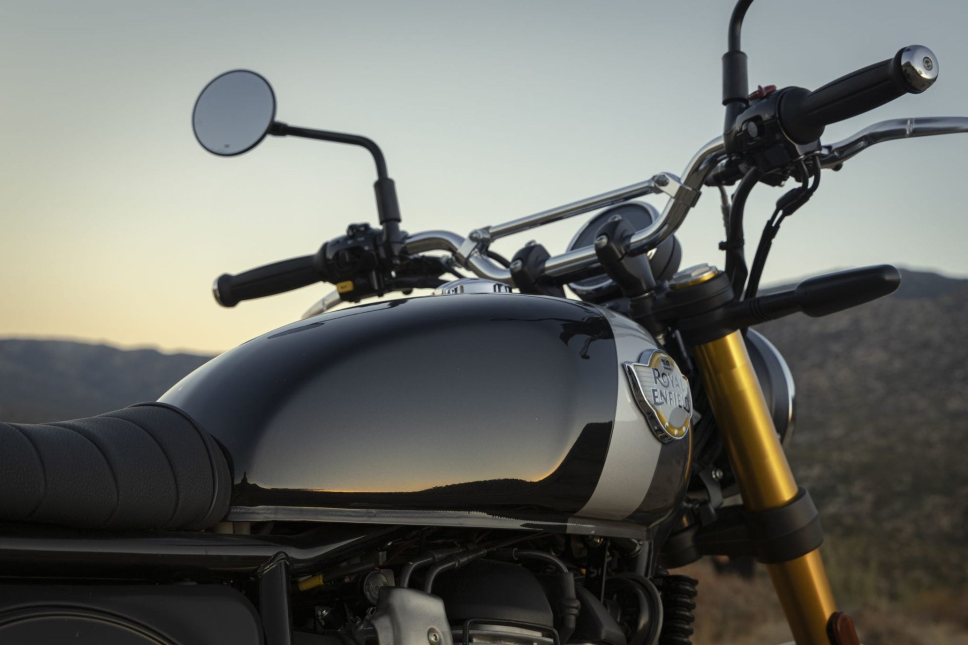 Royal Enfield Bear 650 (17)
