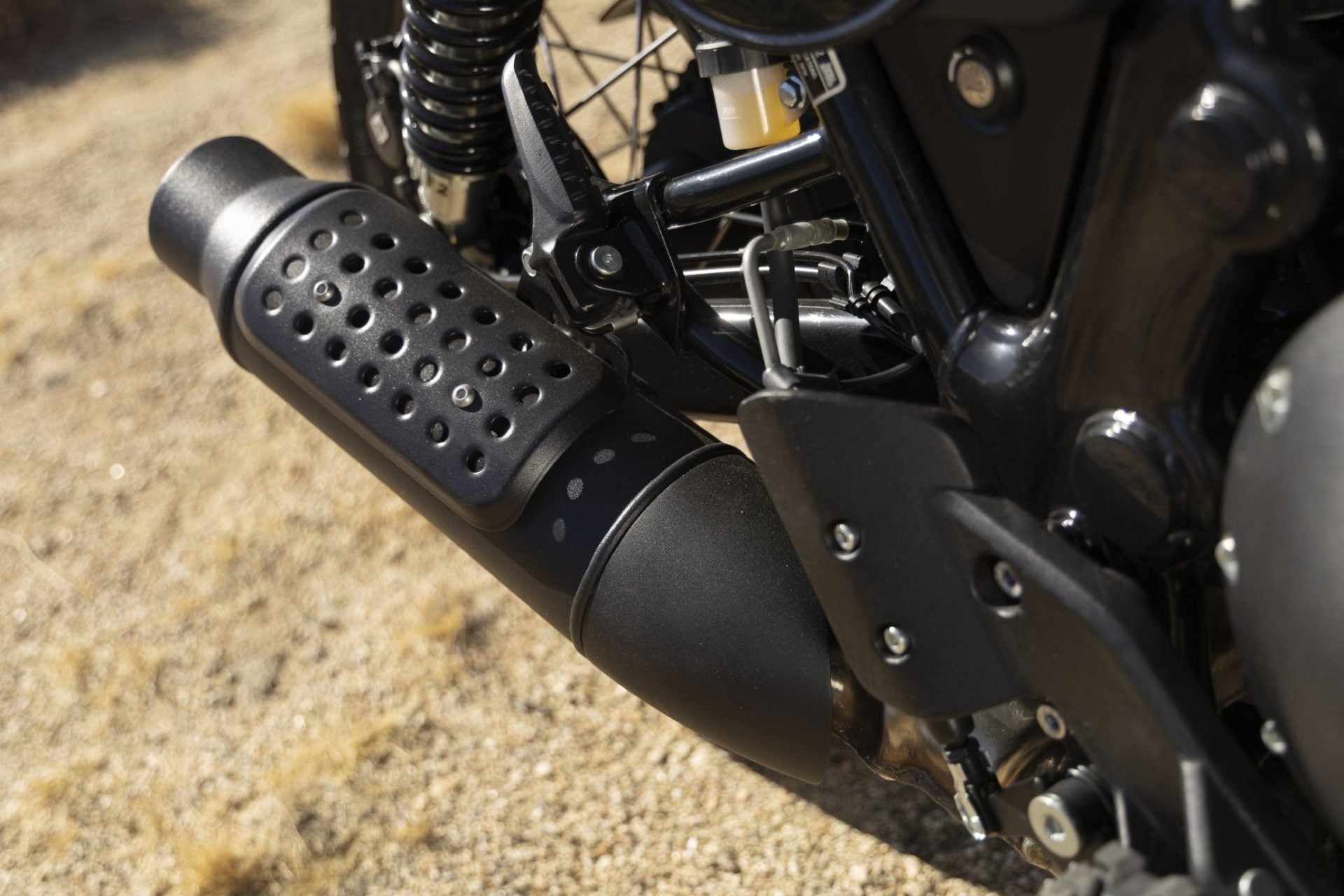 Royal Enfield Bear 650 (19)