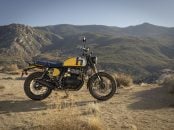 Royal Enfield Bear 650 (24)