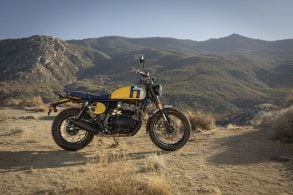 Royal Enfield Bear 650 (24)