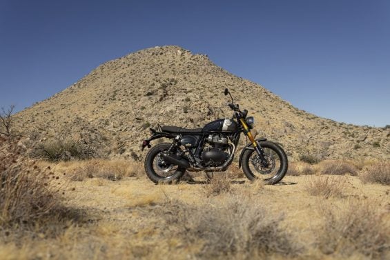 Royal Enfield Bear 650 (26)