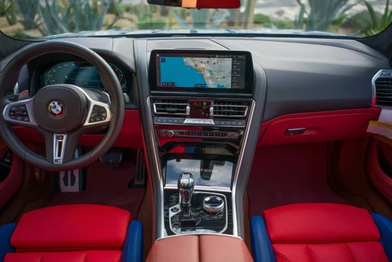 BMW “The 8 X Jeff Koons” 11