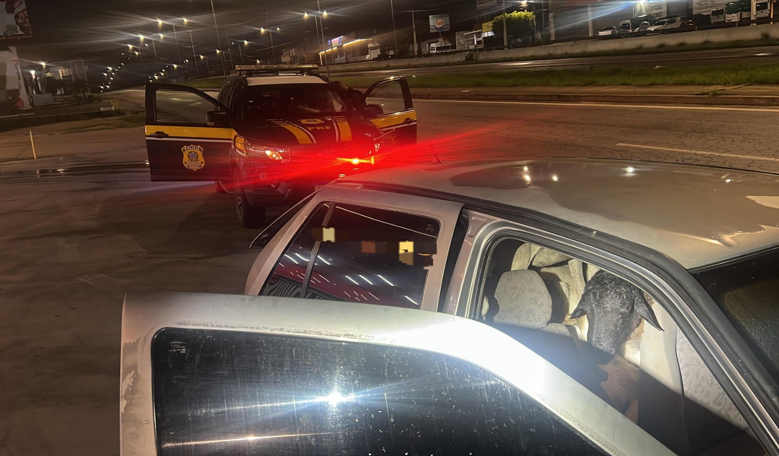 PRF encontra carro roubado com 18 bodes dentro em rodovia de Pernambuco