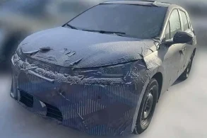 flagra novo byd dolphin gs phev 2027