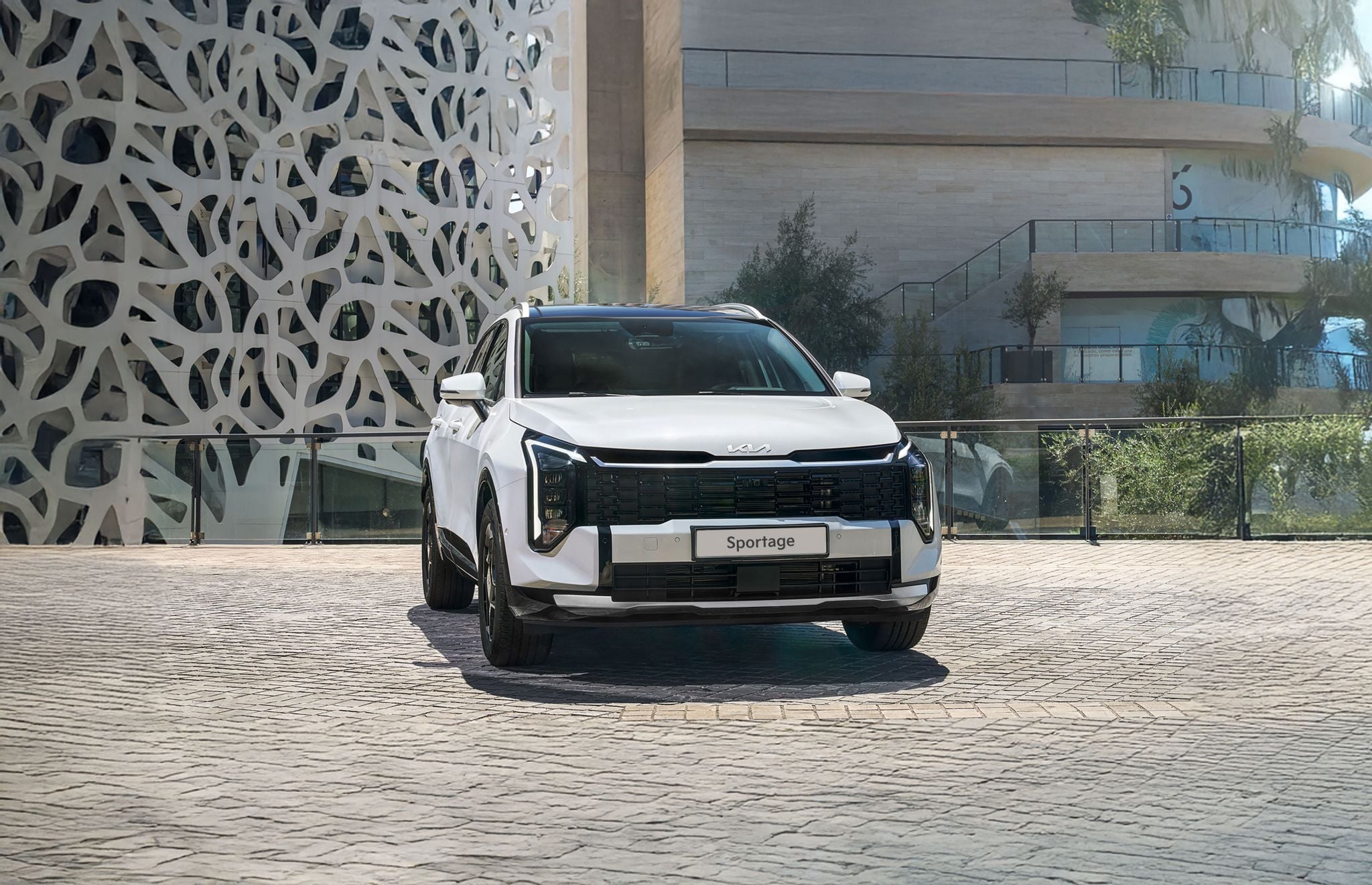 Sportage 3 (1)