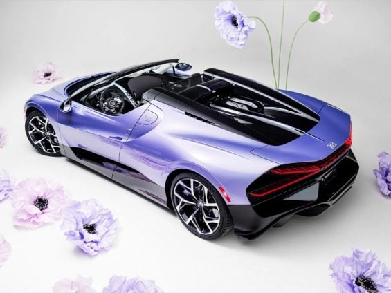 W16 Mistral 'Caroline' (4)