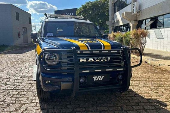 1 unnamed 7 66184027